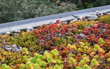 the cost of Pontycymer green roof installation