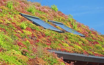 Pontycymer living roof systems